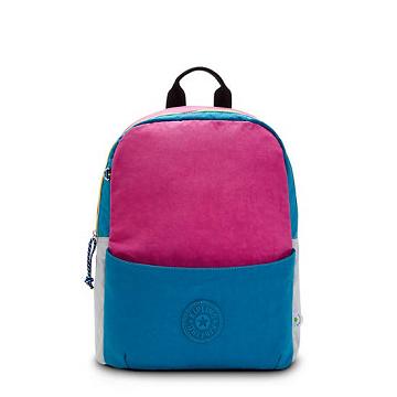 Kipling Sonnie 15" Backpack Laptoptassen Roze Blauw | NL 1548PJ